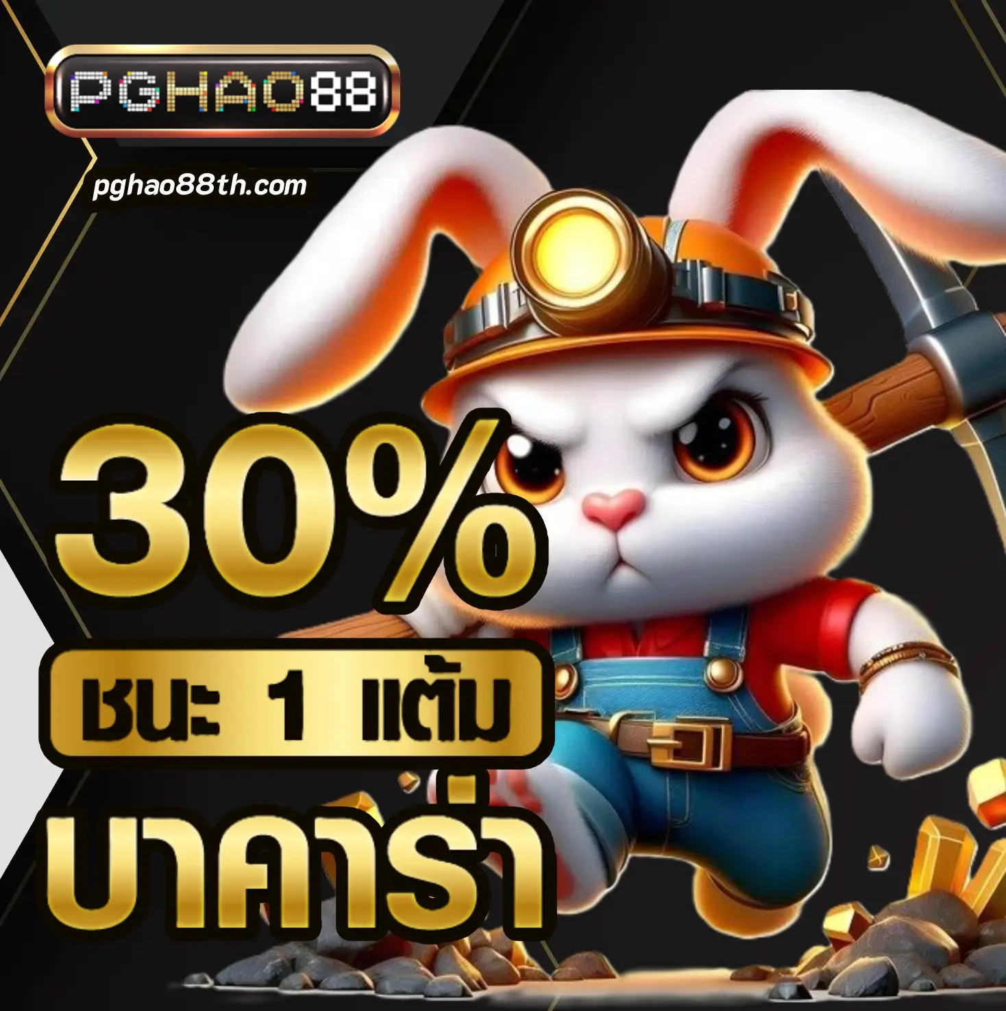 โปรโมชั่น pghao