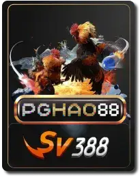 pghao88 login